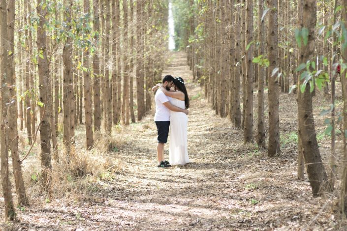 Casal abraçado em meio aos eucaliptos - Fotografar em Holambra